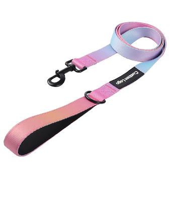 Leash