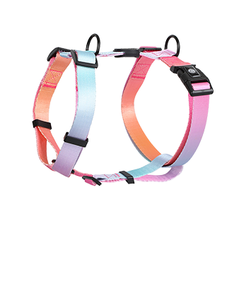 Harness