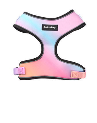 Harness